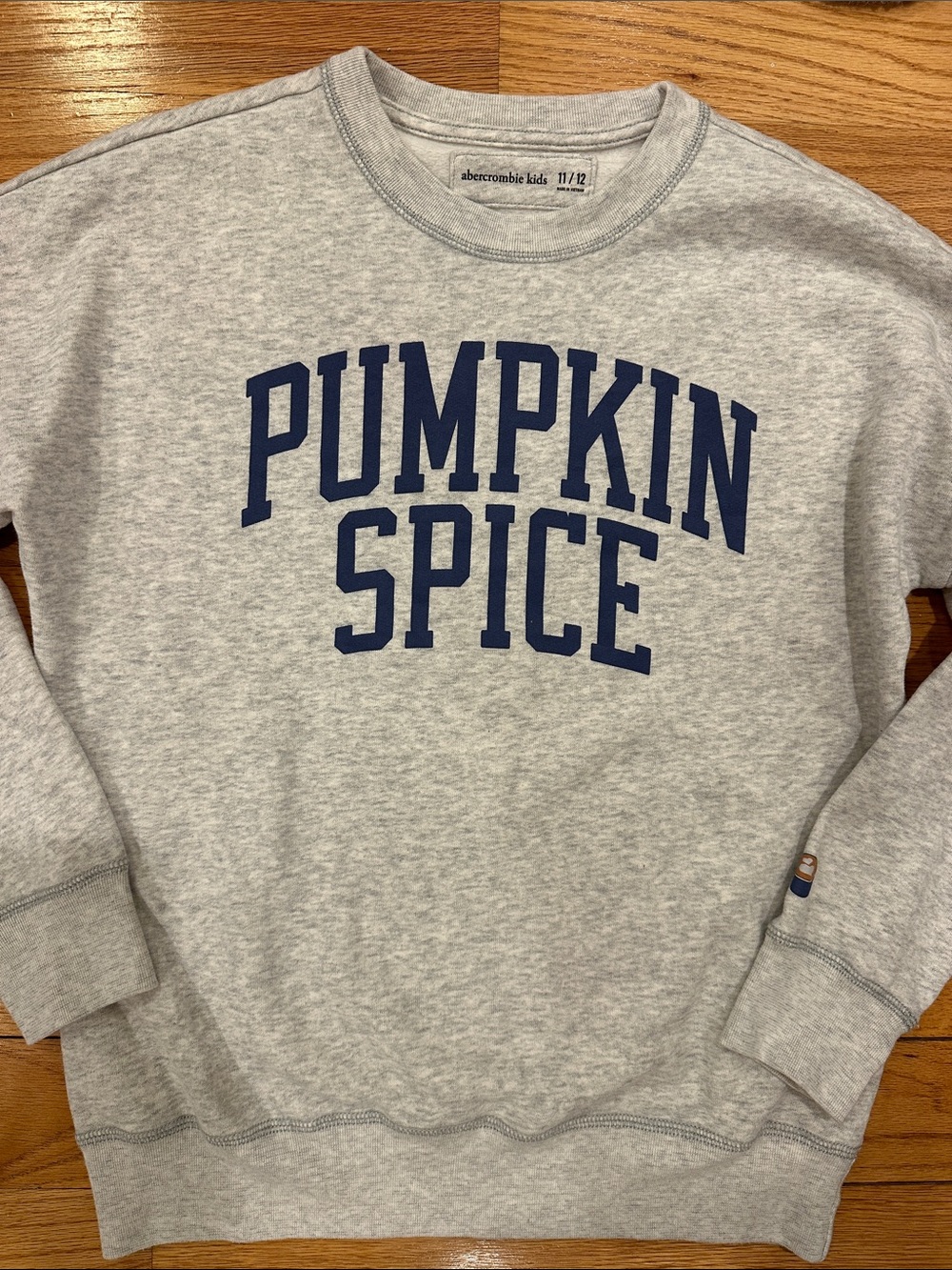 Abercrombie kids Pumpkin Spice Sweatshirt